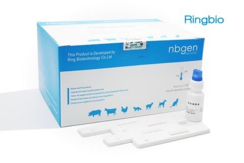 Influenza B Virus Rapid Test Kit